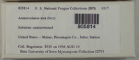 Image Associated With the Occurence